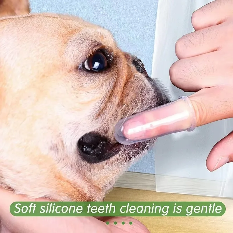 Süper Yumuşak Pet Parmak Diş F - Teeth Whitening Brush incelemesi ve fiyatı