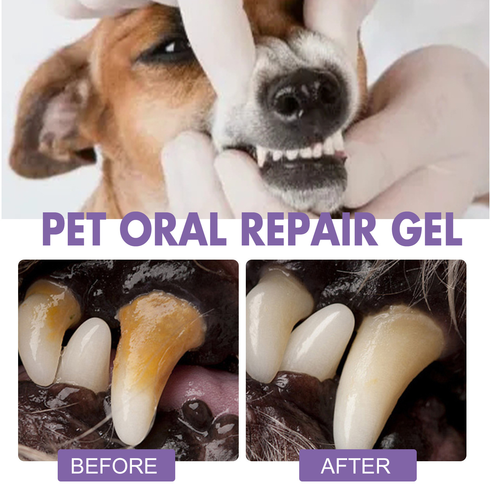 Pet Oral Onarım Jeli Yavru Tar - Teeth Whitening Price incelemesi ve fiyatı