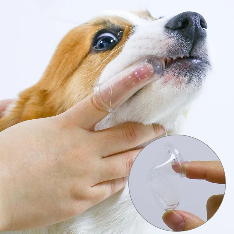 Süper Yumuşak Pet Parmak Diş F - Teeth Whitening Brush incelemesi ve fiyatı